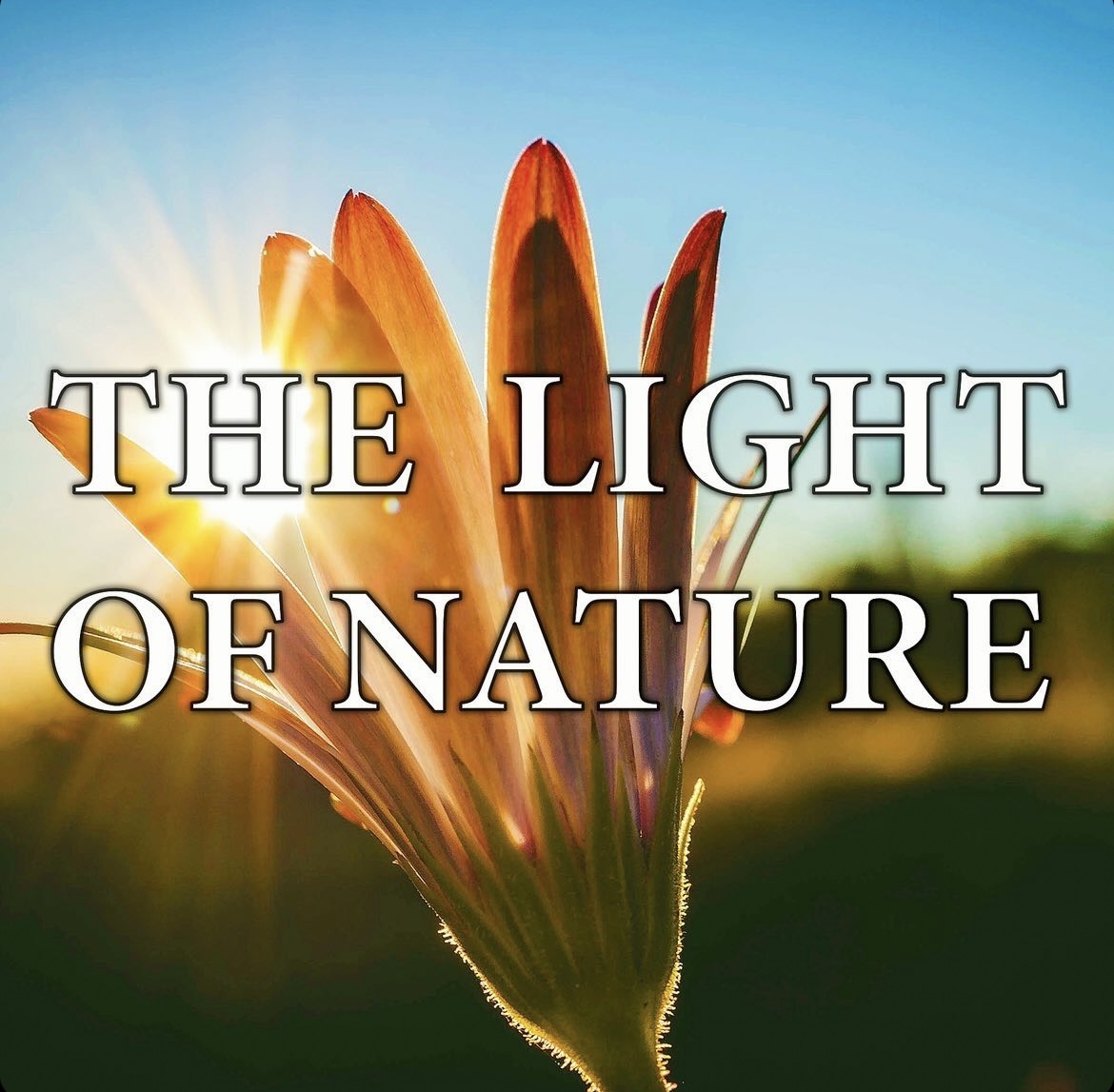 The Light Of Nature