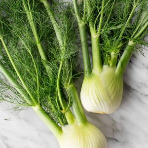 Fennel Tincture (2 oz Bottle)
