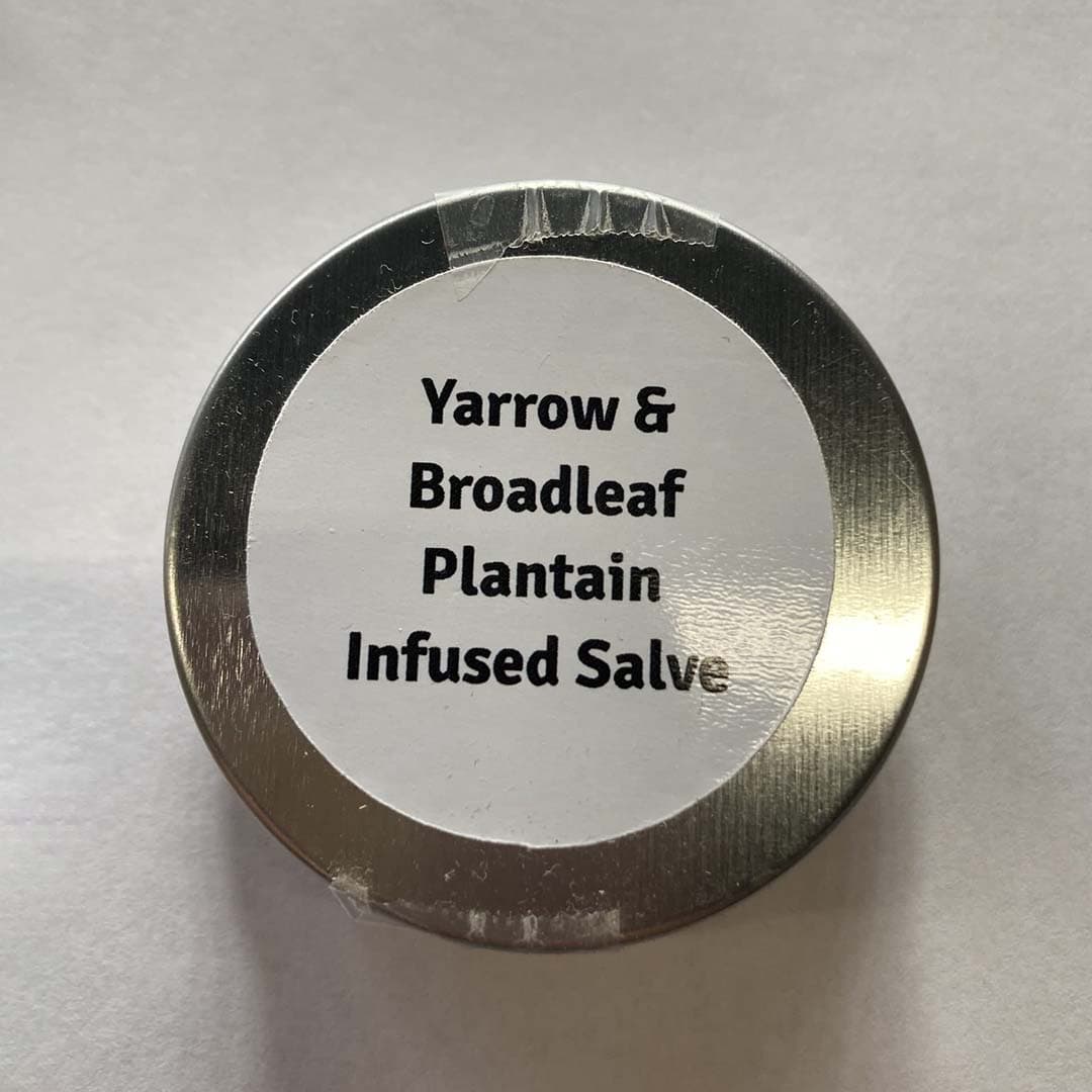 Handcrafted Herbal-Infused Salve (1 oz) - Image 2