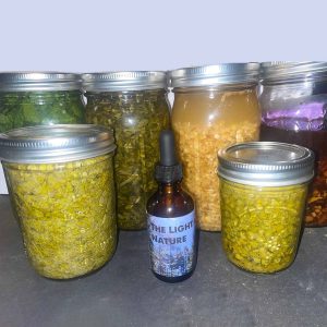 Digestive Support Formula (2 oz Bottle)