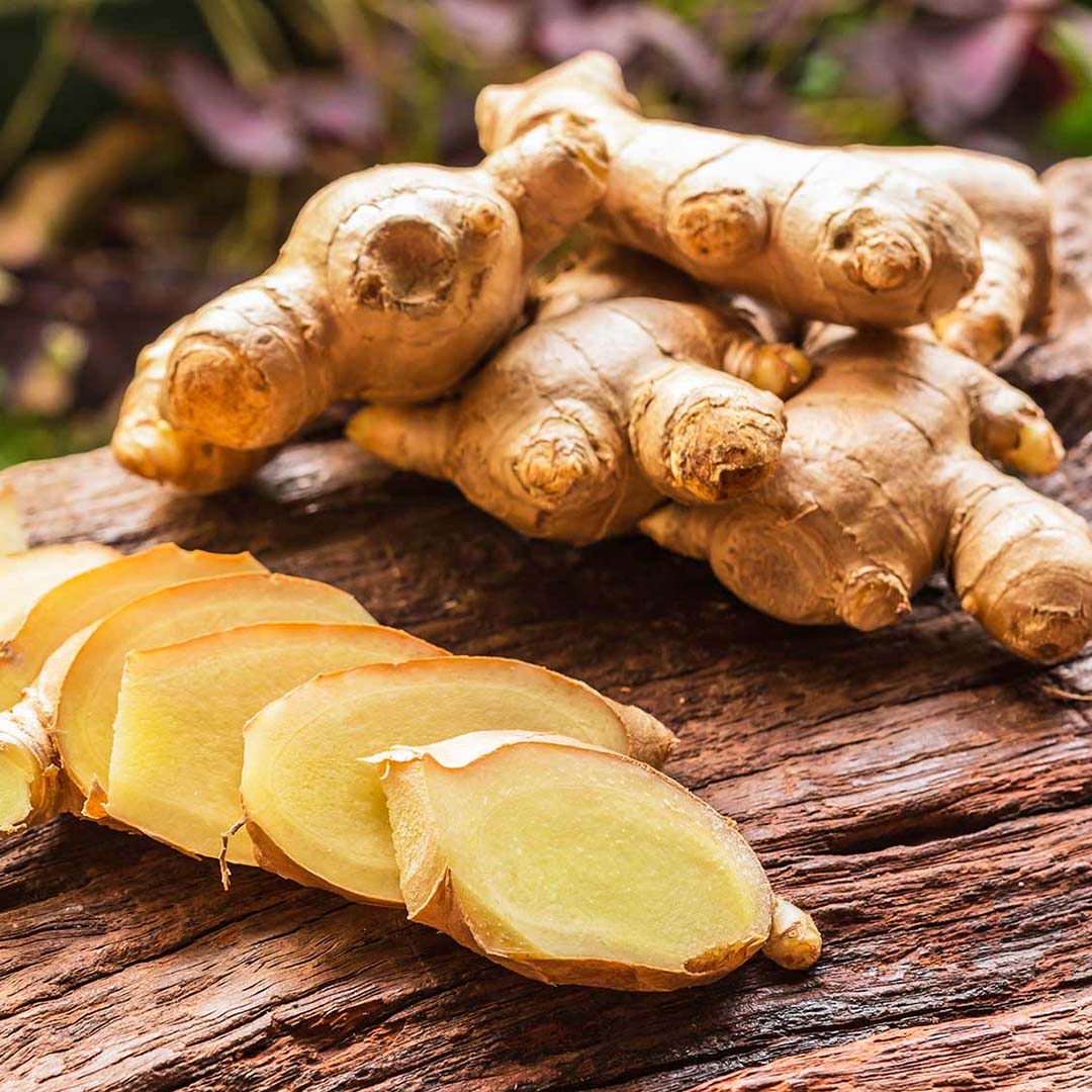 Ginger Fresh Root Tincture (2 oz Bottle)
