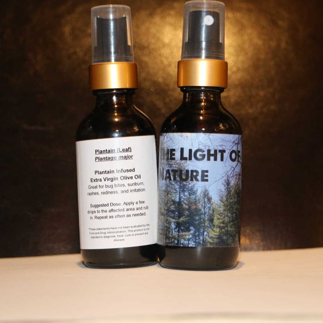 Plantain Fresh Leaf Tincture (2 oz Bottle) - Image 2